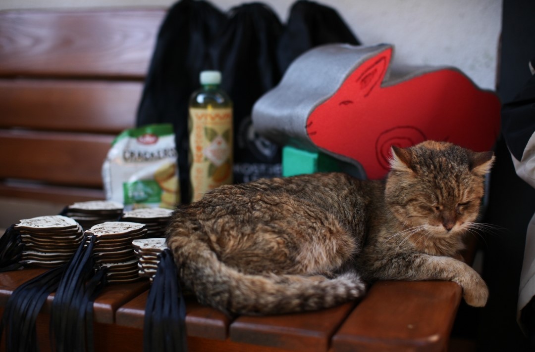 Priprava medalij na podelitev